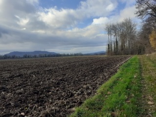 SAINT SAVIN - LES MARAIS PAR LA PRISON-isere