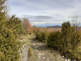 SAINT-PIERRE-DE-CHERENNES - EN FORET DE COULME-isere