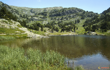 Lac Achard -isere