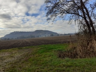 SAINT-SAVIN  - ETANG DE VILLIEU-isere