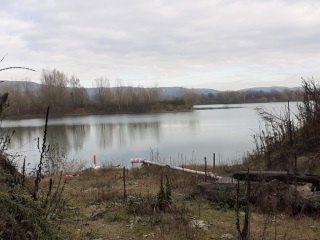 SAINT-SAVIN  - ETANG DE VILLIEU-isere