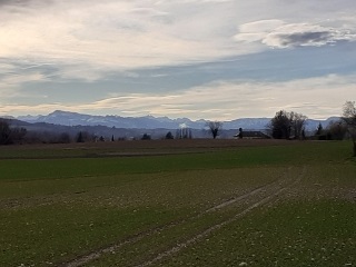 NIVOLAS VERMELLE - LES COTES DU VERNAY-isere