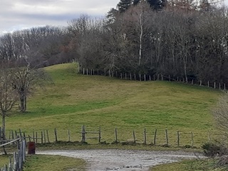 CHARANTONNAY - LE VERNAY PAR LE MARIAGE-isere