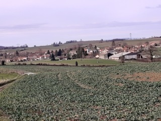 CHARANTONNAY - LE VERNAY PAR LE MARIAGE-isere