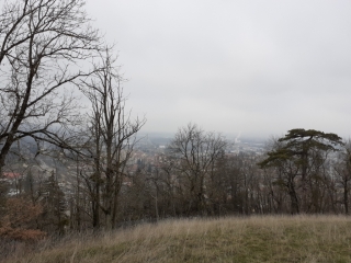 BOURGOIN - TOUR DU JARDIN DE VILLE-isere