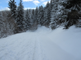 LE LAC DES TAVERNES EN RAQUETTES A NEIGE-isere