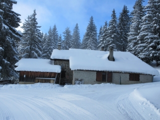 CRET DU POULET (1726M) EN BOUCLE PAR LE LAC DES TAVERNES EN RAQUETTES A NEIGE-isere