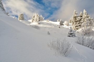 CRETE DES PLAGNES (COLLET D ALLEVARD) EN RAQUETTES A NEIGE-isere