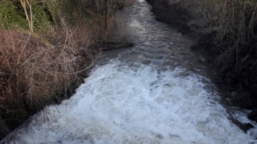 BOURGOIN - RIVES DE LA BOURBRE-isere