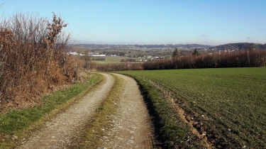 BEAUVOIR DE MARC - BOIS DE MOLEZES ET CROTTES-isere