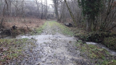 LA-CHAPELLE-DE-LA-TOUR - PAR L ETANG DES ECHIROLLES-isere