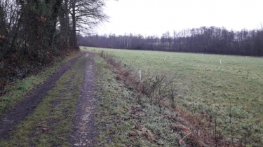 LA-CHAPELLE-DE-LA-TOUR - PAR L ETANG DES ECHIROLLES-isere