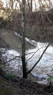 BOURGOIN - RIVE DROITE DE LA BOURBRE-isere
