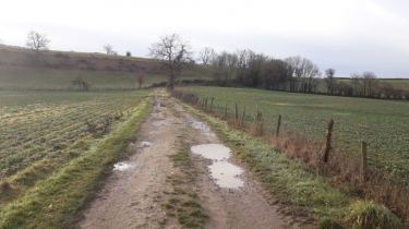 CHEZENEUVE - LA FORET-isere