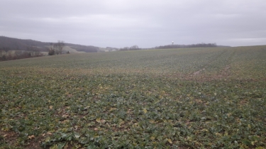 CHEZENEUVE - LA FORET-isere