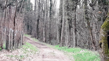 LA CHAPELLE DE LA TOUR - PAR LE LACA-isere