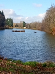 LIEUDIEU - BOIS DES GRILLERES-isere