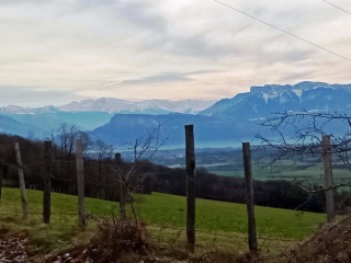 COLOMBE - PAR LES BOURRELIERES-isere