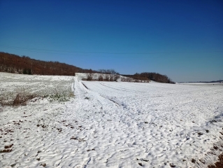 ARTAS - LA BLACHE PAR THIVIAT-isere