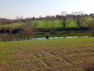 FOUR - ENTRE BOIS ET ETANG-isere