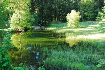 DU COL LUITEL AU PIC DE L OEILLY-isere