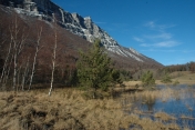 TOURBIERE DU PEUIL-isere