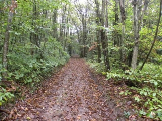 SAINT JEAN DE SOUDAIN-isere