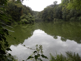 SAINT JEAN DE SOUDAIN-isere