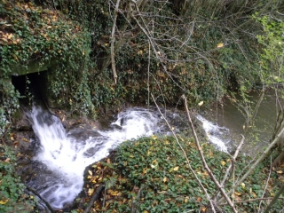 ROCHETOIRIN (2)-isere