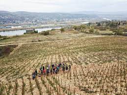 SEYSSUEL - BOUCLE DANS LES VIGNES DE SEYSSUEL-isere
