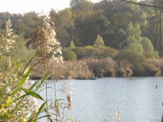 OPTEVOZ - ETANG DE LEMPS-isere