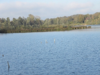 OPTEVOZ - ETANG DE LEMPS-isere