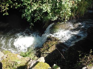 TRAMOLE - VALLON DE VALLAUSIN-isere
