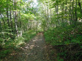 TRAMOLE - VALLON DE VALLAUSIN-isere