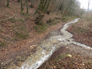 ST MARCEL BEL ACCUEIL -isere