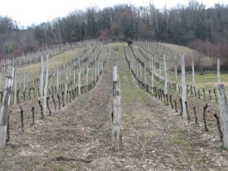 SAINT-SAVIN (3)-isere