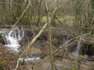 TORCHEFELON (1)-isere