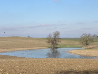 SAINT-ALBAN-DE-ROCHE-isere
