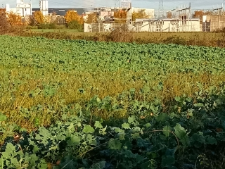 LA VERPILLIERE 38 - LE BOURBONNAIS-isere