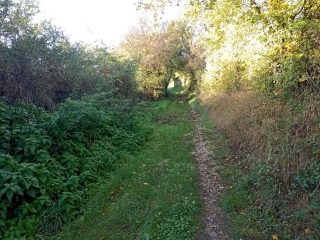 LA VERPILLIERE 38 - LE BOURBONNAIS-isere