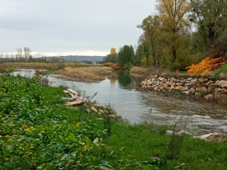 BOURGOIN - BOUCLE DE LA BOURBRE PAR LE PARC SAINT HUBERT-isere
