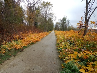 BOURGOIN - BOUCLE DE LA BOURBRE PAR LE PARC SAINT HUBERT-isere