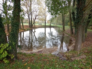 SAINT-ALBAN-DE-ROCHE - PAR LE LOUP-isere