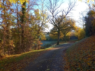 DOMARIN  - PAR LE BOIS OZIER-isere