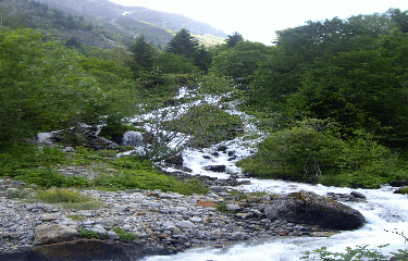 LAC DE LAUVITEL-isere