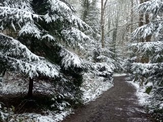 RUY - PAR LE BOIS DE LA CASSE-isere