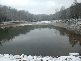 RUY - PAR LE BOIS DE LA CASSE-isere