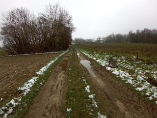 SAINT SAVIN - PAR L ETANG DE GOLE-isere
