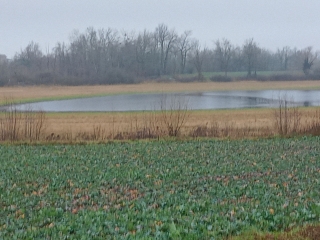SAINT SAVIN - PAR L ETANG DE GOLE-isere