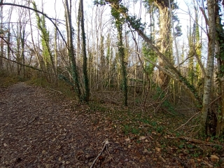 FOUR 38 - BOIS COUVERT-isere